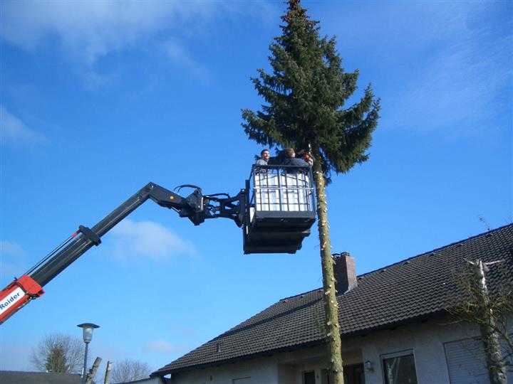 Baum schneiden und fällen mit dem Teleskopstapler